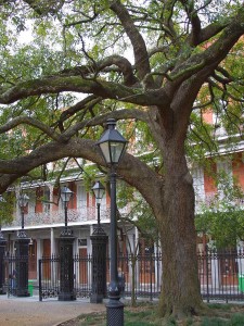 Jackson Square in New Orleans. Photo by Jon Sullivan.