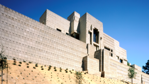 Photo by Sandra Williams © 2007