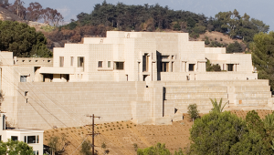 Photo by Sandra Williams © 2007