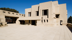 Photo by Sandra Williams © 2007