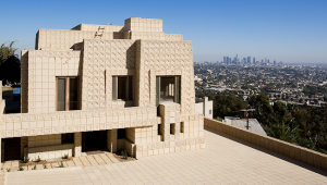 Photo by Sandra Williams © 2007