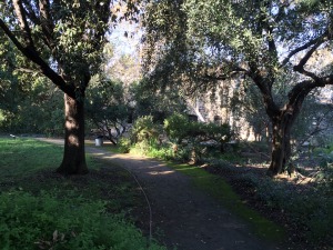 A portion of the Lummis House appears shimmery screened behind the lovely trees on the property.