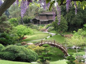 The tour to Huntington Library includes the beautiful gardens, as well as English tea